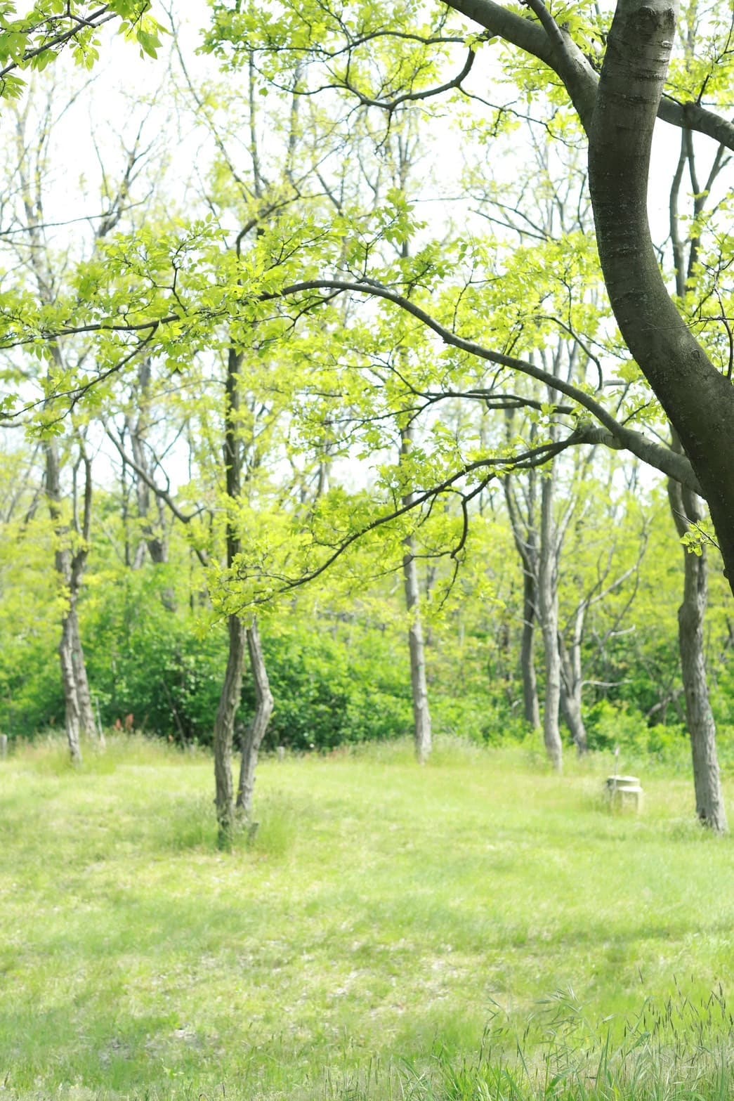 s__125558792.jpg